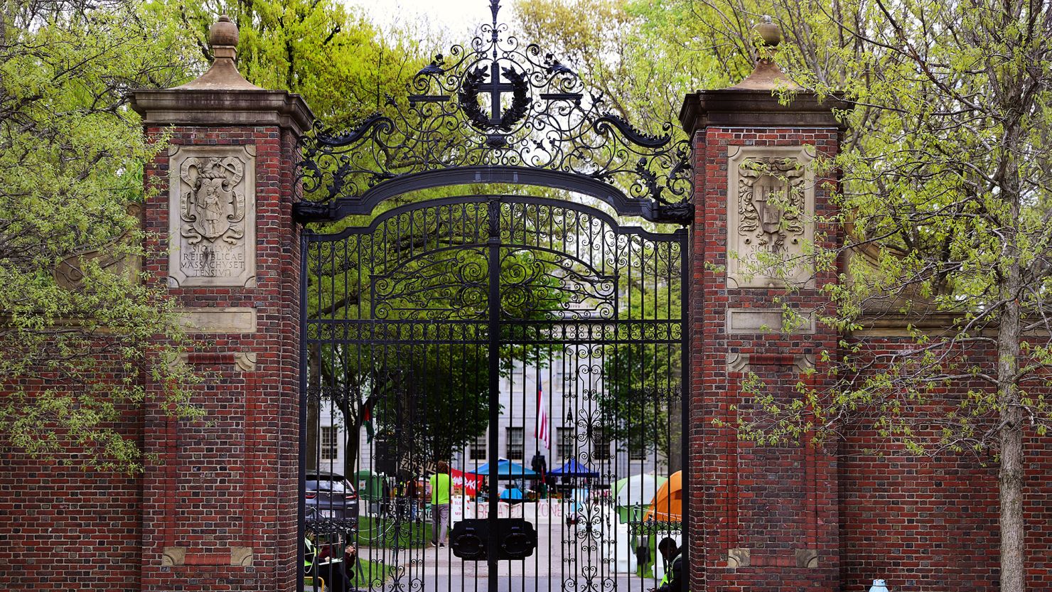 Harvard’s task forces on antisemitism and anti-Muslim bias urge the university to act soon